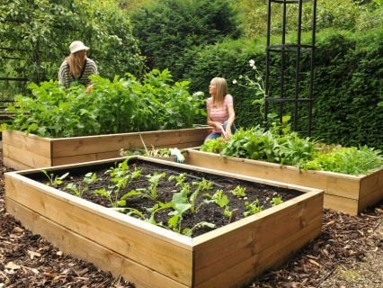 garden planters