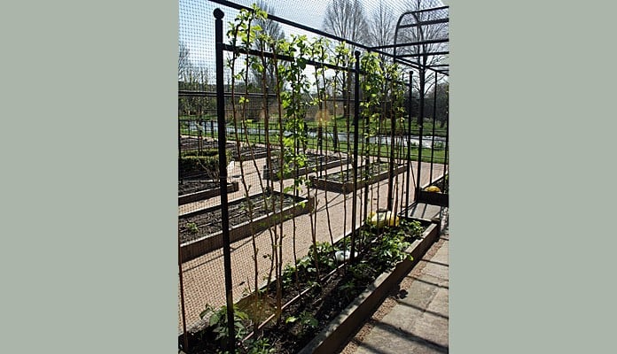Plant Climbing and Support Frames Images - Harrod Horticultural