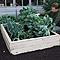 Allotment Wooden Raised Beds - Harrod Horticultural