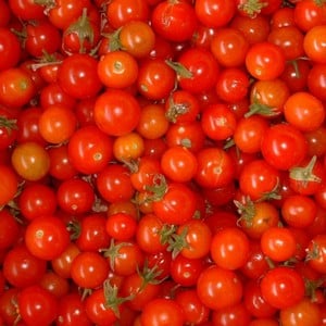 Sweetie Tomato 5 Plants Organic