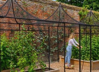 Fruit Cages - Special Offer - SAVE 10%!