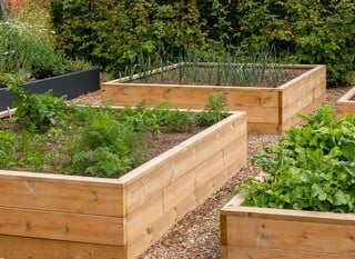 Save 10% on our award winning wooden raised beds! 