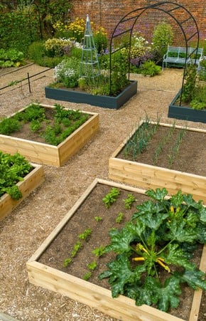 Herb Dryer - Harrod Horticultural (UK)