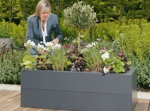 https://www.harrodhorticultural.com/cache/category-home/299/222/metal-raised-beds-2023519105.jpg