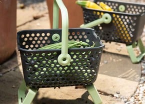 https://www.harrodhorticultural.com/cache/category/290/209/trugs-and-baskets-255-2019212162.jpg