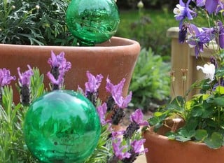 Greenhouse Watering