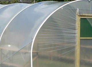 Polytunnels