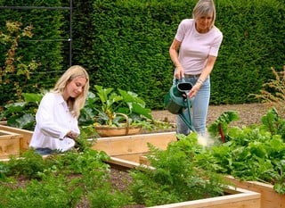 Wooden Raised Beds