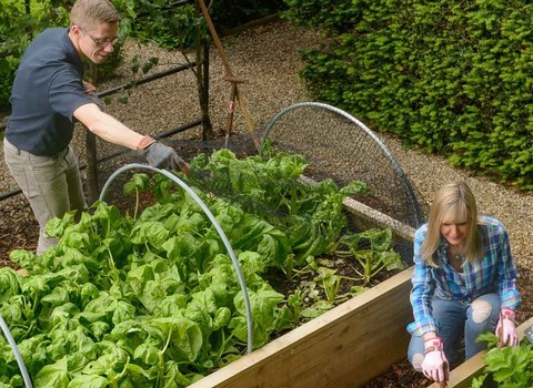 Wooden Raised Beds - Garden Supplies At Harrod Horticultural