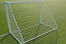 4G Fixed Training Goal and Net