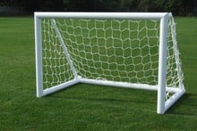 4G Fixed Training Goal and Net