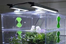 60cm LED Propagator Light Kit