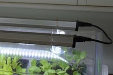 60cm LED Propagator Light Kit