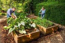 Allotment Wooden Raised Beds