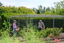 Aluminium Fruit Cages