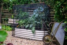 Harrod Vintage Fruit & Vegetable Cage 1.5m High - Natural Rust