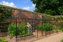 Peak Roof Steel Fruit Cage