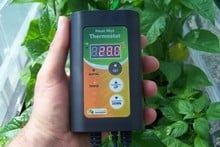 Single High Top Variable Temperature Control Electric Propagator