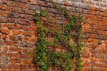 Southwold Decorative Wall Trellis Panels