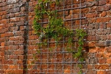 Southwold Decorative Wall Trellis Panels