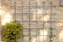 Southwold Decorative Wall Trellis Panels