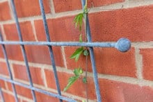 Southwold Decorative Wall Trellis Panels