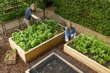 Standard Wooden Raised Beds