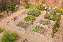 Standard Wooden Raised Beds