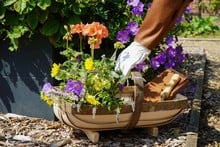 Wealden Traditional Style Sussex Trug