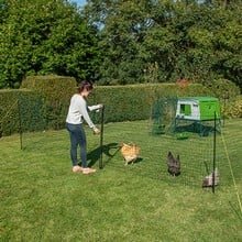 Flexible Chicken Fencing with Gate