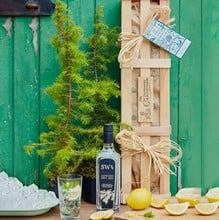 Gin Drinkers Gardeners Gift Set