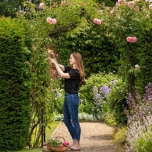 Ogee Garden Arch