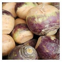 Organic Helenor Swede Seeds