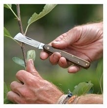 Tina Combination Budding/Grafting Knife