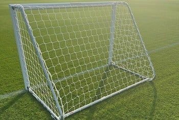 4G Fixed Training Goal and Net