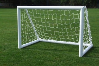 4G Fixed Training Goal and Net