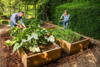 Allotment Wooden Raised Beds