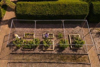 Aluminium Fruit Cages