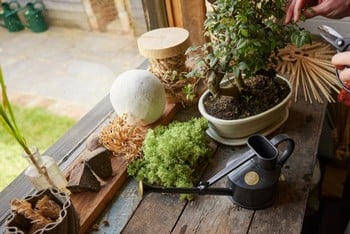 Haws Langley Sprinkler Watering Can Black