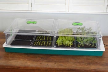 New Large Vitopod Electric Variable Temperature Control Propagator