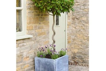 Southwold Square Metal Planter