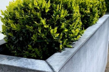 Southwold Trough Metal Planter