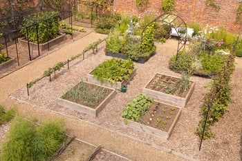 Standard Wooden Raised Beds