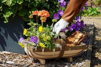 Wealden Traditional Style Sussex Trug