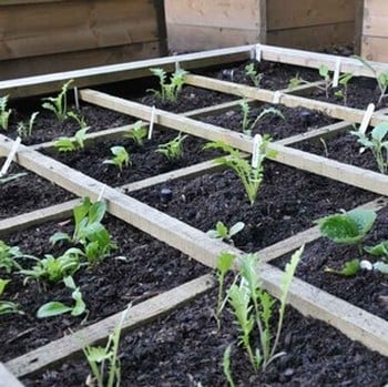 Harrod Raised Bed Planting Grid