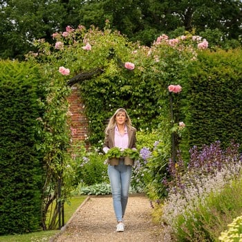 Ogee Garden Arch