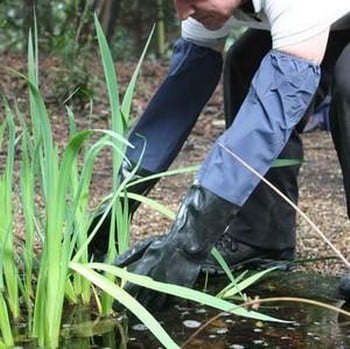 Pond Gloves