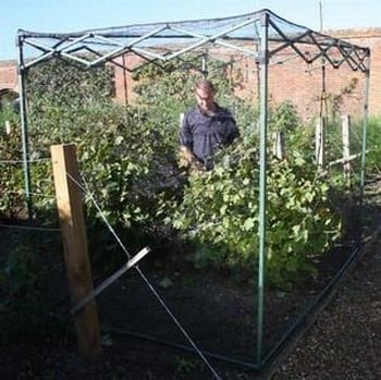 Pop-Up Crop Cage