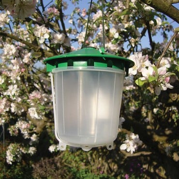 https://www.harrodhorticultural.com/cache/product/370/370/codling-moth-trap-2019115141.jpg