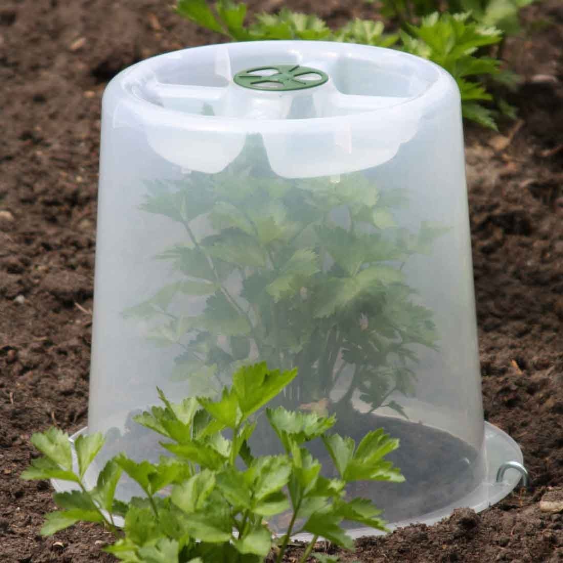 Cloches & Cold Frames Garden Supplies by Harrod Horticultural